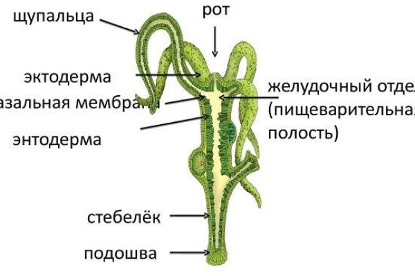 Mega fo ссылка